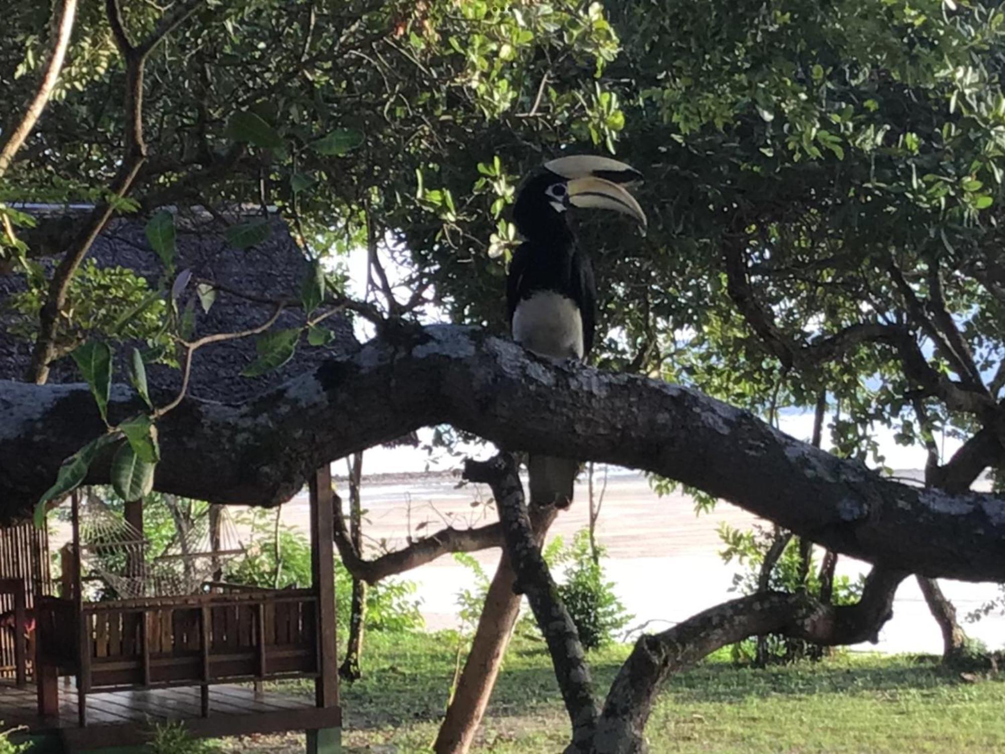 Pp Land Beach Eco Resort Koh Phayam Esterno foto